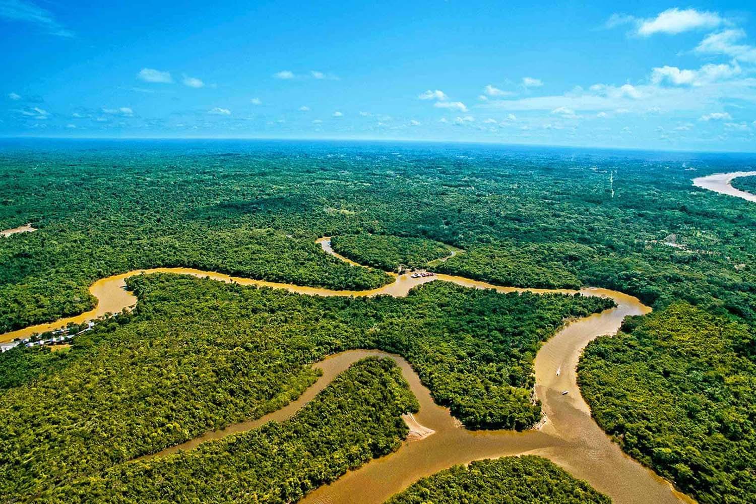 MARAVILLA NATURAL RIO AMAZONAS