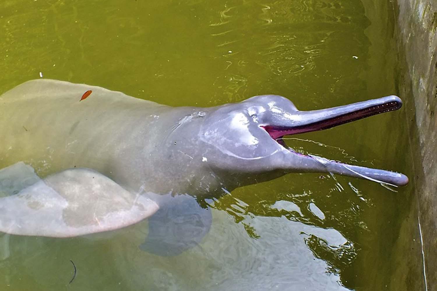 PARQUE TEMÁTICO BIO PARK