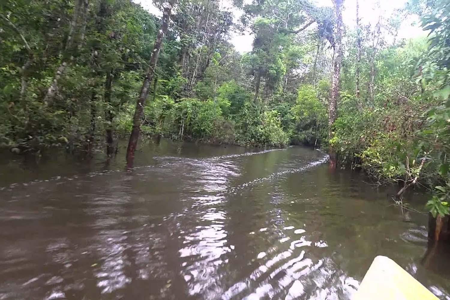 RÍO MOMÓN AVENTURA PUENTE COLGANTE